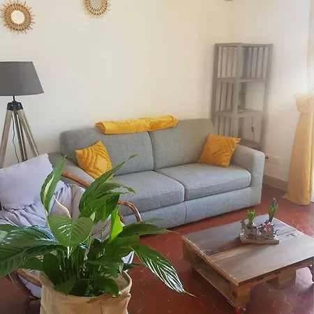 Agreable 2 Pieces En Centre-ville Apartament